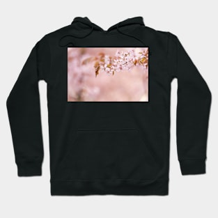 Cherry Blossom Hoodie